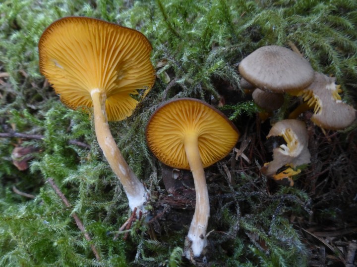P1310253.JPG