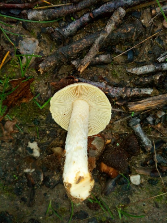 DSC_0449.JPG