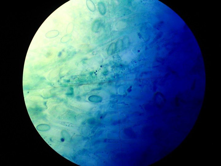 STA_0390.JPG