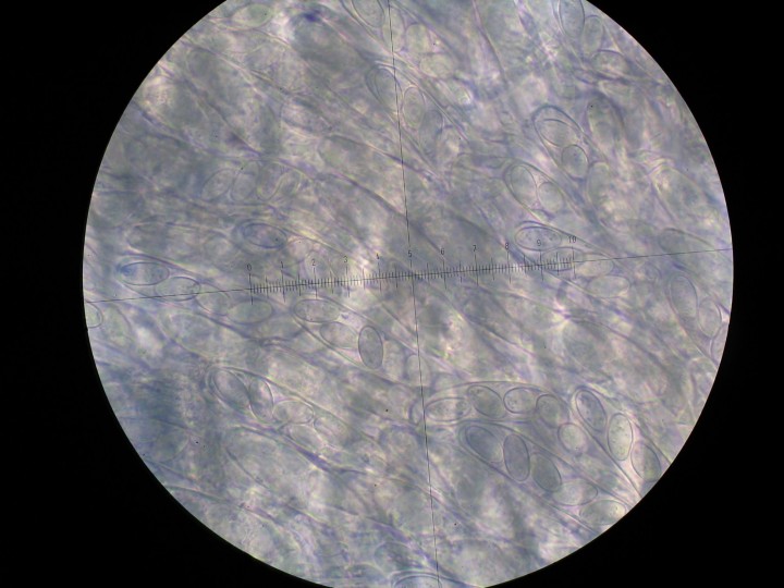 STA_0386.JPG