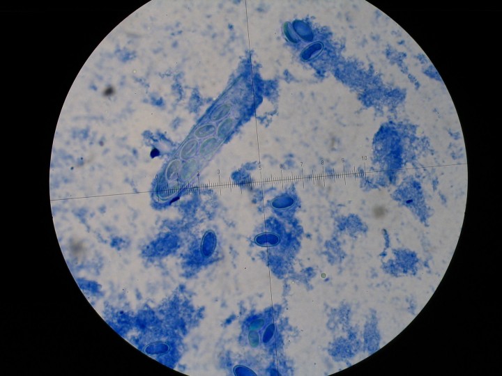 STB_0402.JPG