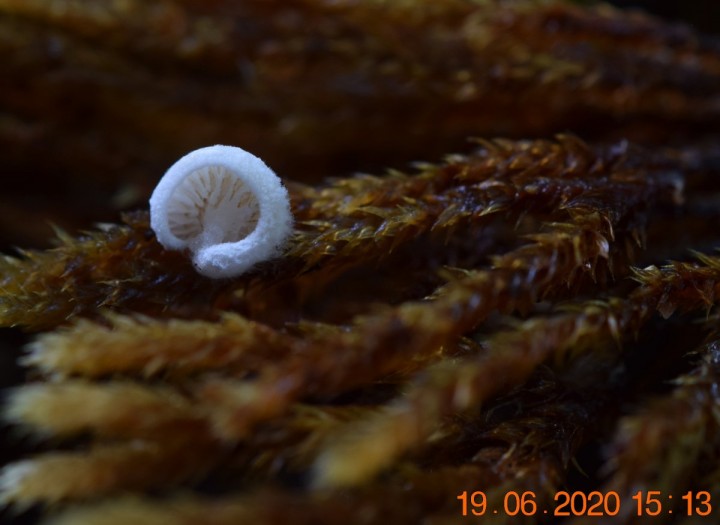 DSC_1312_01.JPG