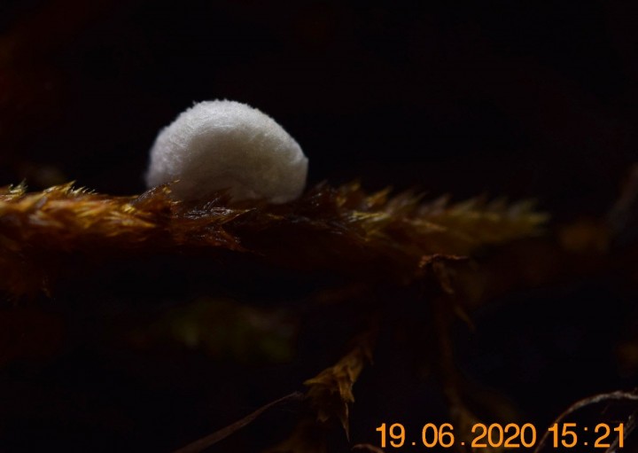 DSC_1316_01.JPG