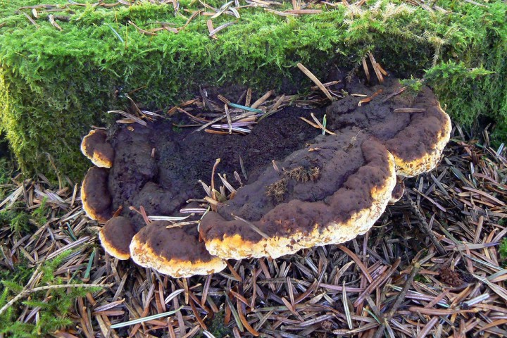 Morvan octobre 2012