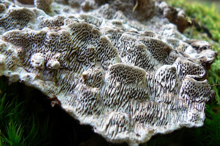 Morvan octobre 2012