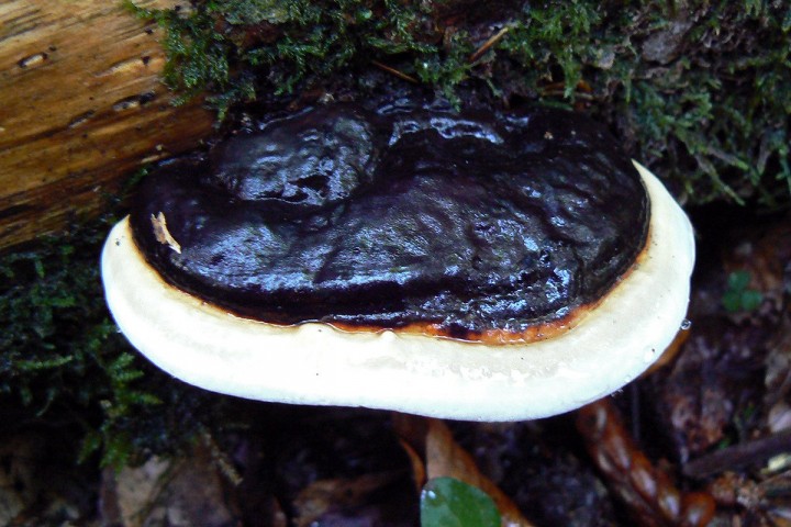 P1170374.JPG