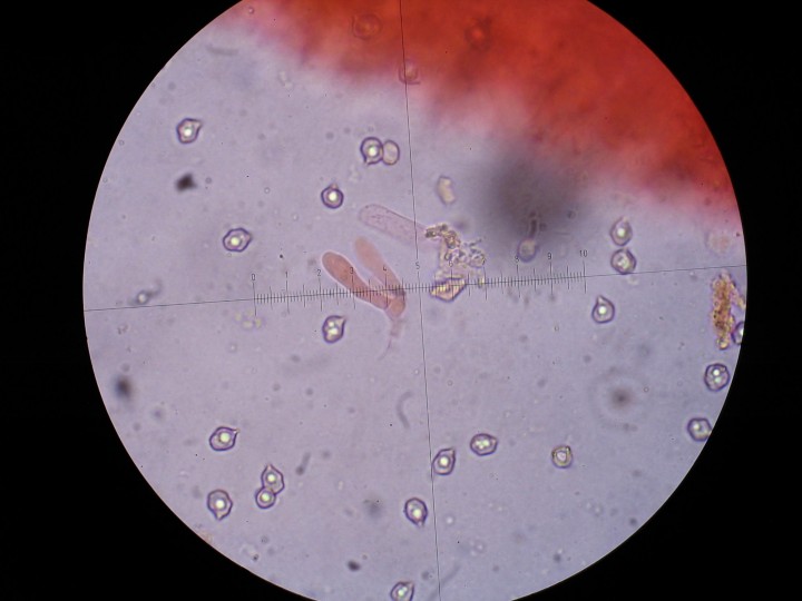 STB_0480.JPG
