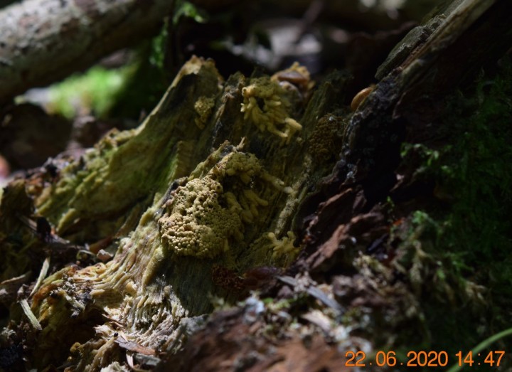 DSC_1369_01.JPG
