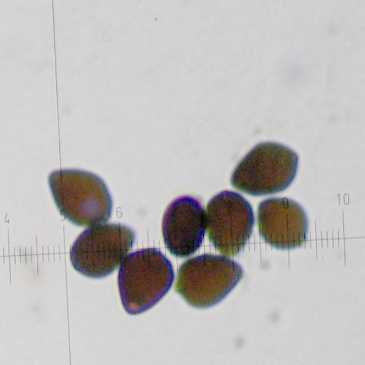 STA_0523 bis.jpg