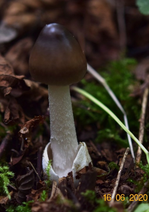 DSC_1264_01.JPG