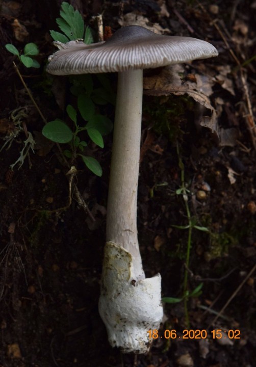 DSC_1299_01.JPG