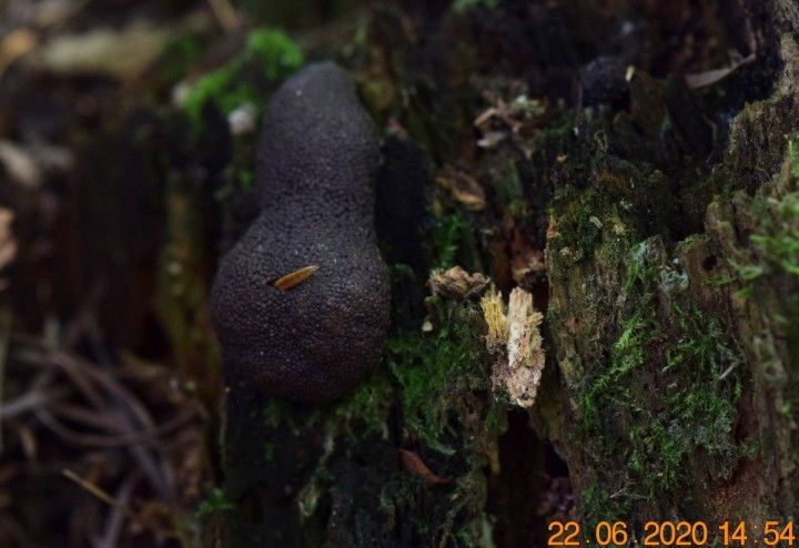 DSC_1372_01.JPG