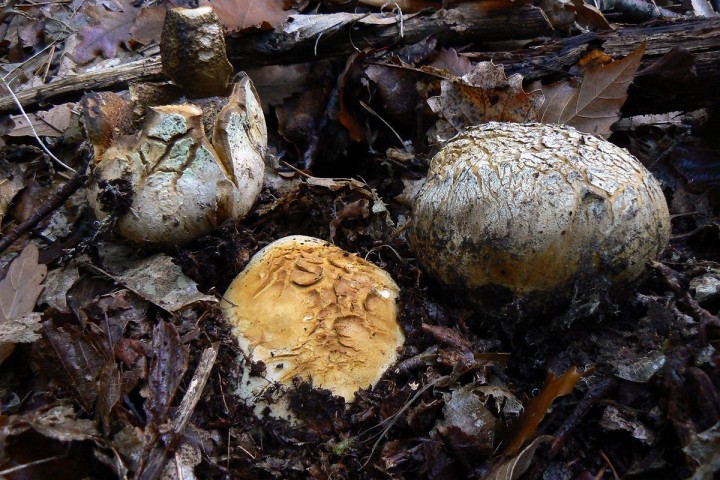 P1200475.jpg