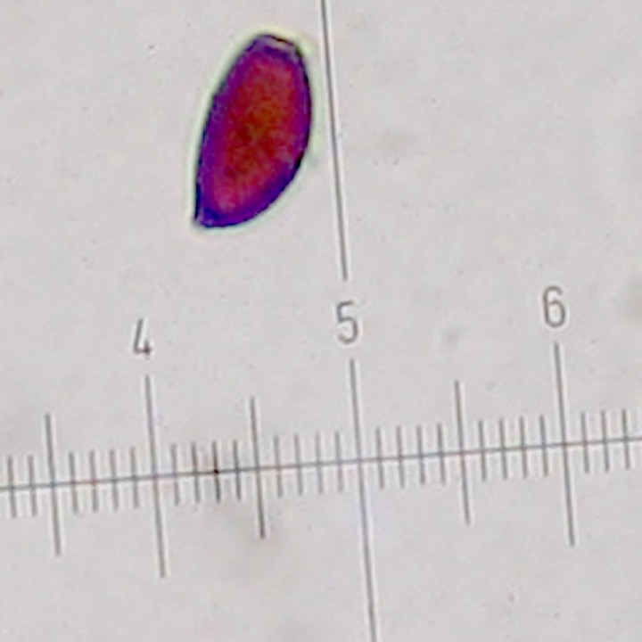 STE_0497.jpg