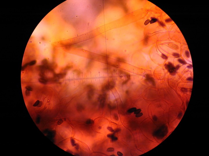 STA_0632.JPG