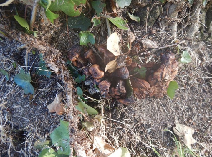 Photo5.JPG