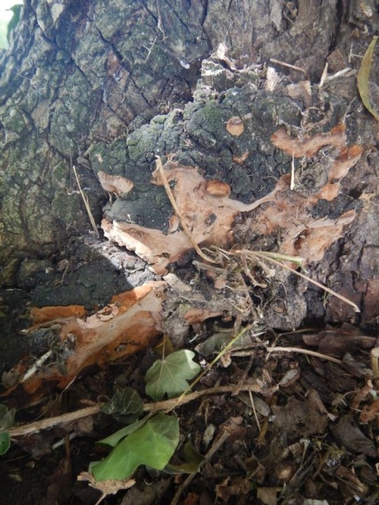Photo12.JPG