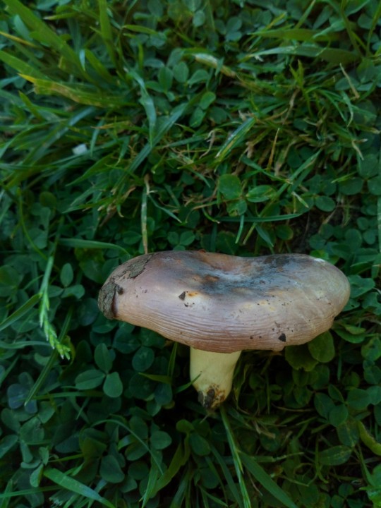 DSC_0957.JPG