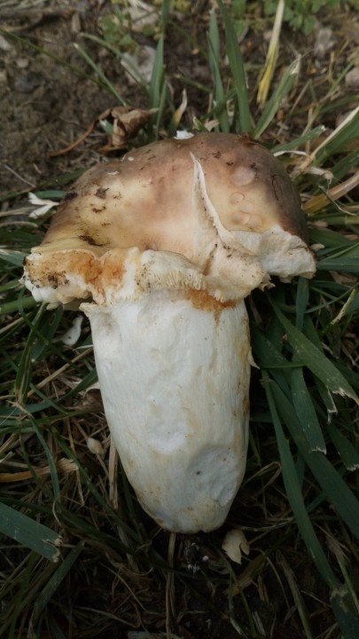 DSC_0682.JPG