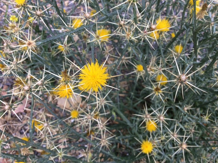 92F6B03A-C02D-4E65-8024-F5467ABCC4E5.jpeg