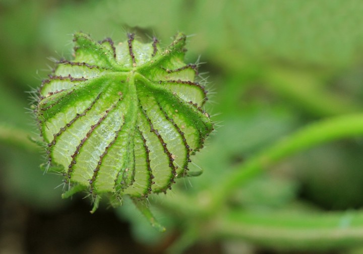 P6.jpg