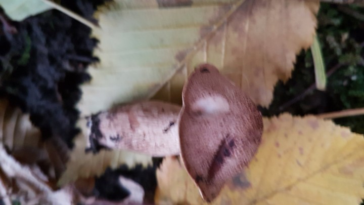 20191115_143736.jpg