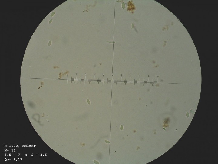 STS_1097.jpg