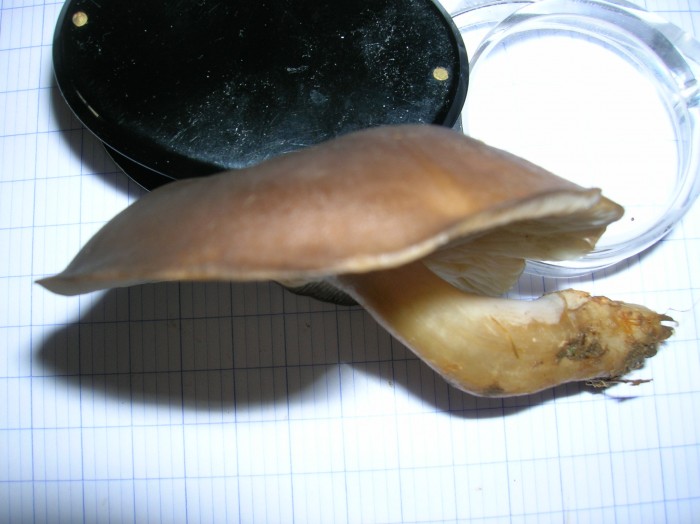 DSCN3030.JPG