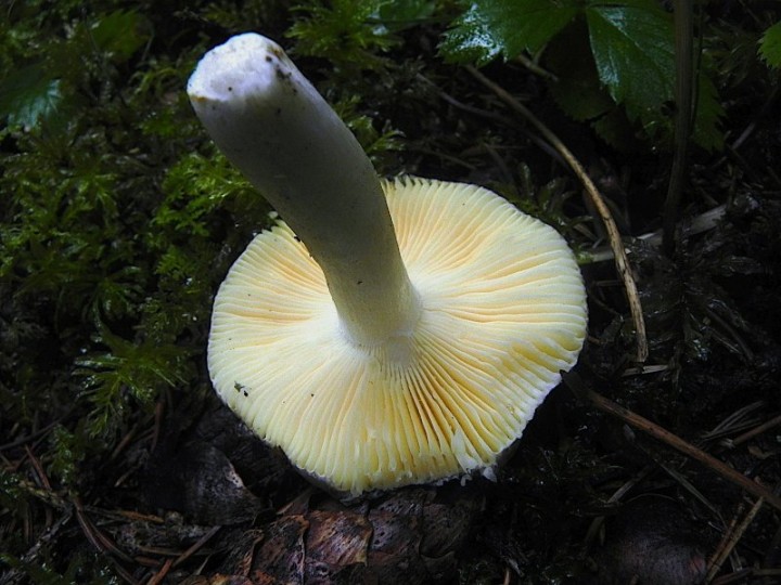 DSCN0056b.JPG