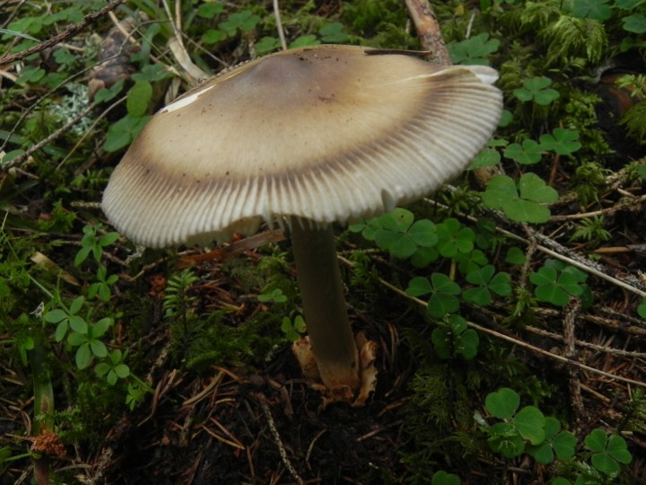 DSCN0073.JPG