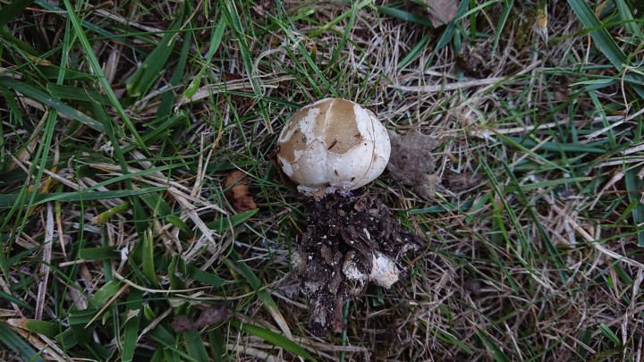 DSC_0765.JPG