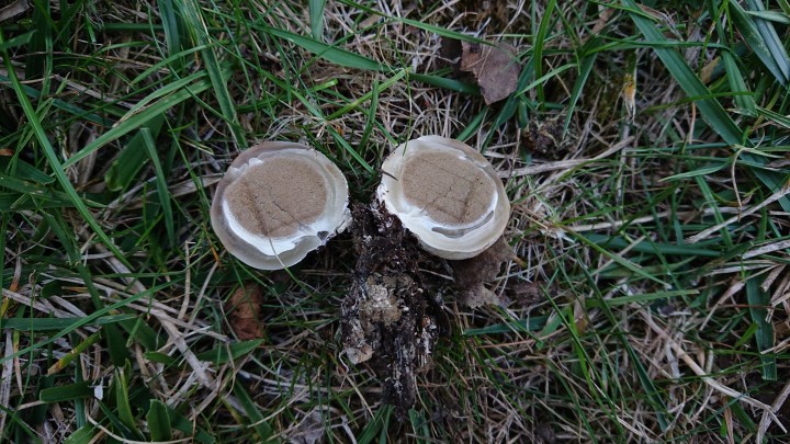 DSC_0766.JPG