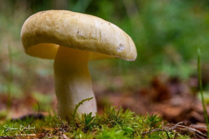 _DSC6866.jpg