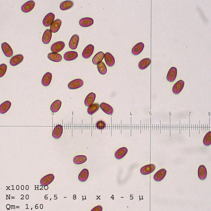 STB_1177.jpg
