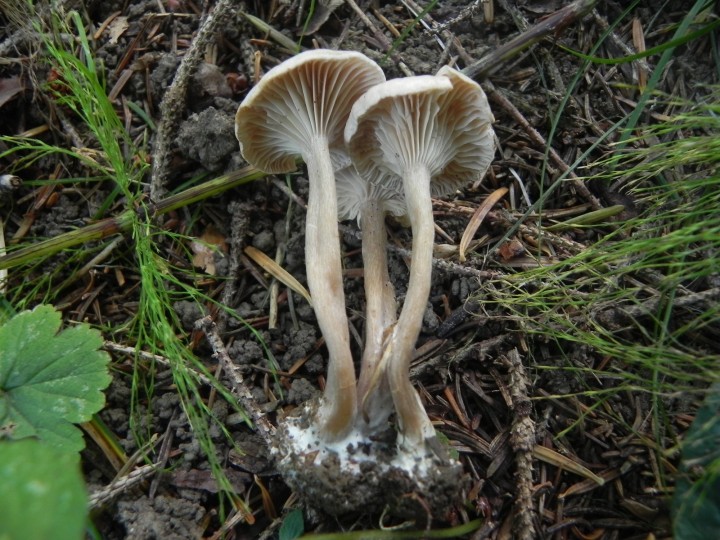 DSCN0143.JPG
