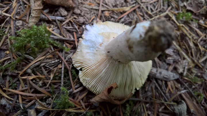 WP_20200912_17_04_25_Pro.jpg