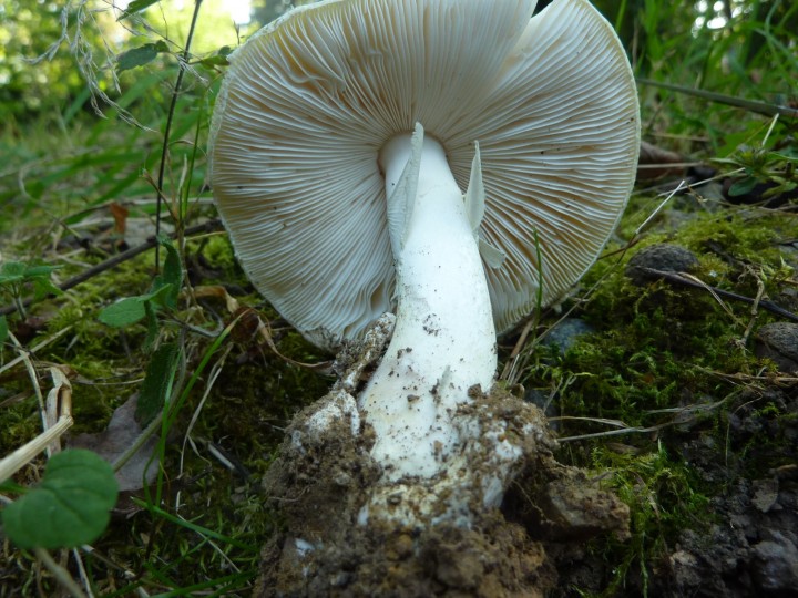 P1110071.JPG