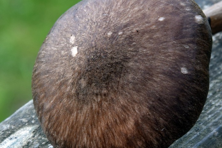 DSC_1420.jpg