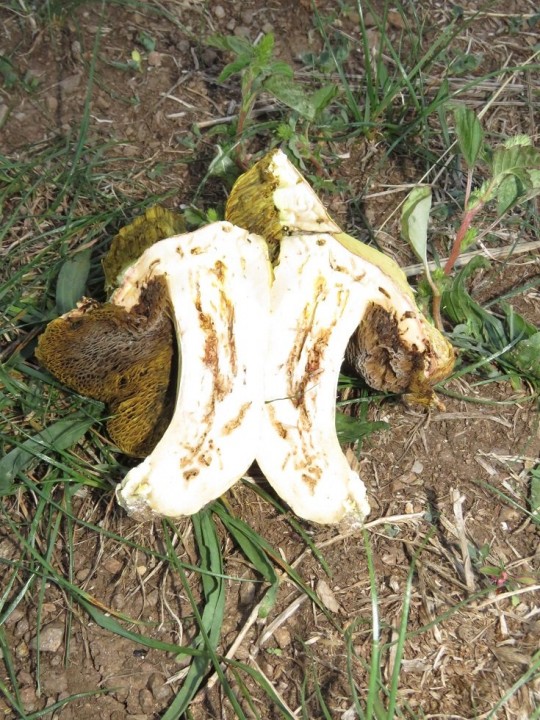 IMG_0632.JPG