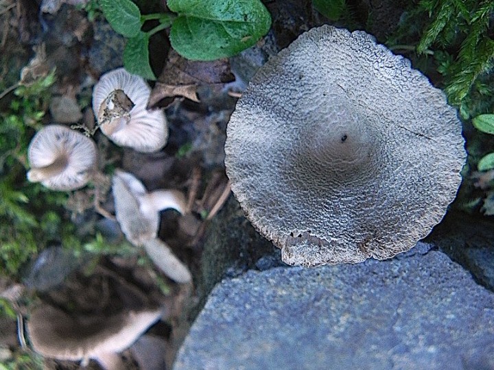 DSCN0168b.JPG