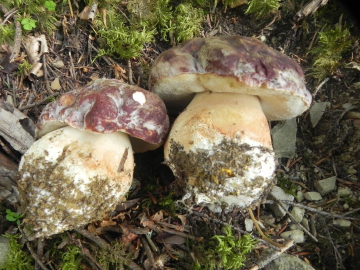 DSCN0160.JPG