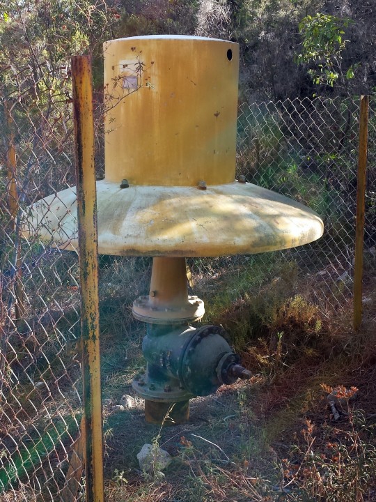 20200905_165456.jpg