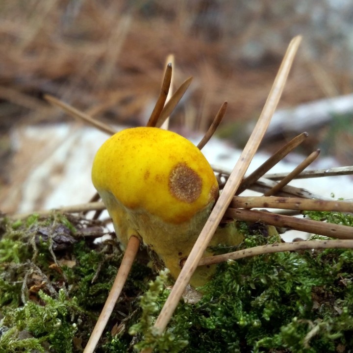 20200909_103203.jpg