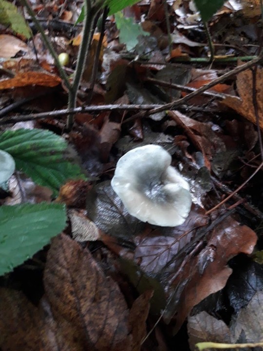 20201002_123042.jpg