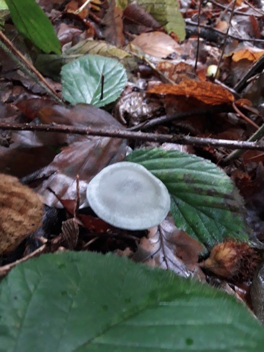 20201002_123048.jpg