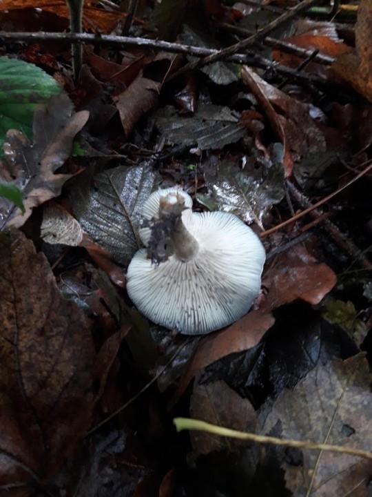 20201002_123121.jpg
