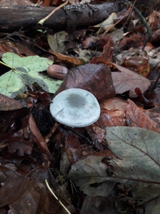 20201002_123523.jpg