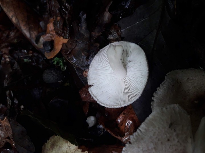 20201002_124135.jpg