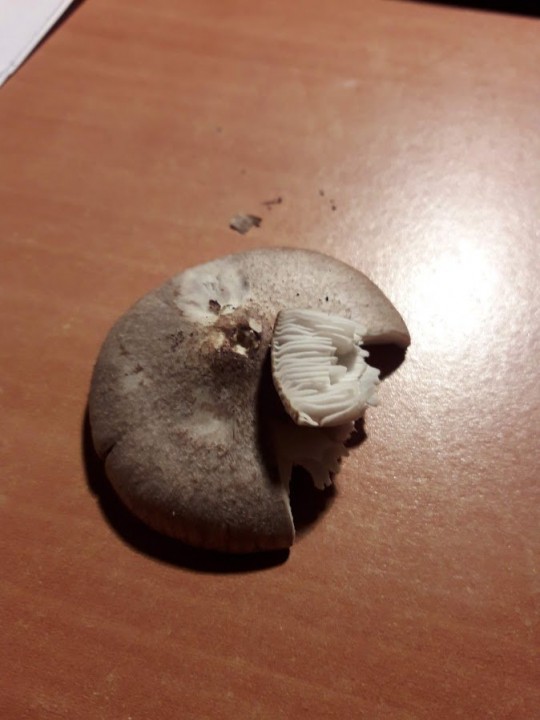 20201002_174731.jpg
