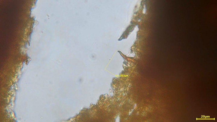 2020-10-04-13-13-10_1200.jpg